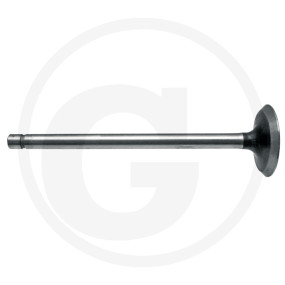 Auslassventil Granit 38012471