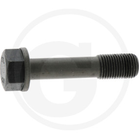 Pleuelschraube Granit 38012475