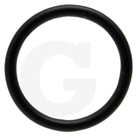 O-Ring Granit 38012580