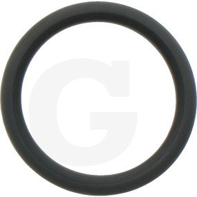 O-Ring Granit 38012583