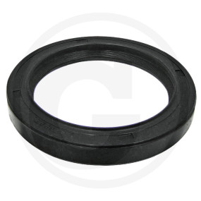 Dichtring Vorne Granit 38015175