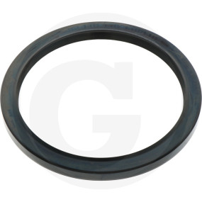 Dichtring Hinten Granit 38015180