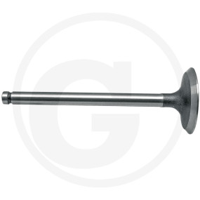 Einlassventil Granit 38015498