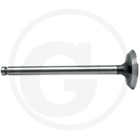 Auslassventil Granit 38015499