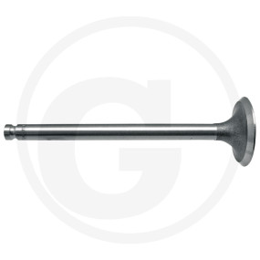 Auslassventil Granit 38015505