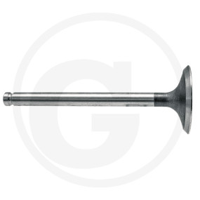 Einlassventil Granit 38015510