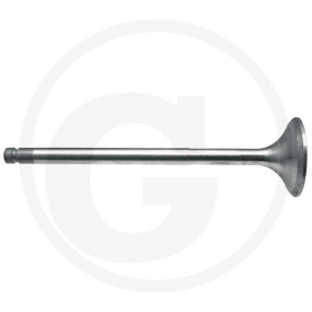 Auslassventil Granit 38015517