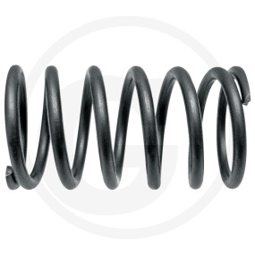 Ventilfeder Ein-Ausl. Granit 38015519