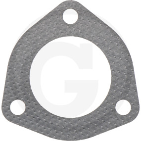 Dichtung Granit 38015824