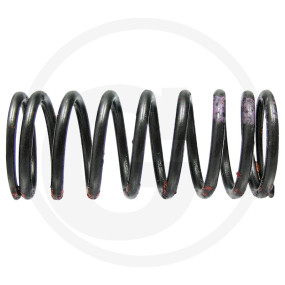 Auslassventilfeder Granit 38016701