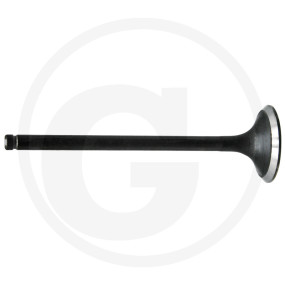 Auslassventil, Stand Granit 38017131