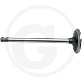 Einlassventil Granit 38017136