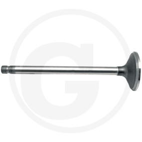 Auslassventil, Stand Granit 38017137