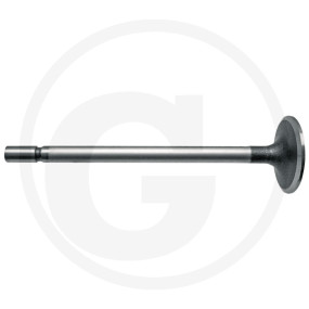 Einlassventil Granit 38017146