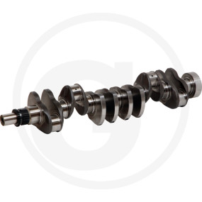 Kurbelwelle Granit 38017310