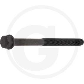 Zylinderkopfschraube Granit 38017316
