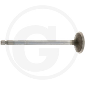 Auslassventil Granit 38017447