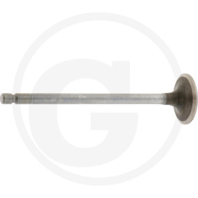 Einlassventil Granit 38017448