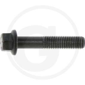 Schraube Granit 38017790