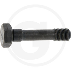 Schraube Granit 38017791