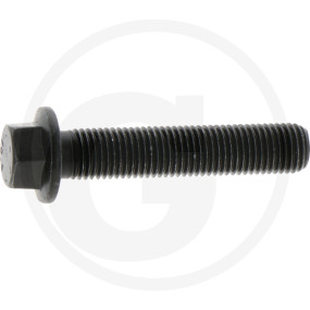 Schraube mit Flansch Granit 38017836