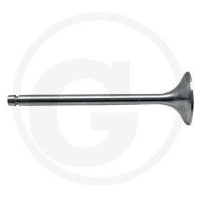 Einlassventil Granit 38021205