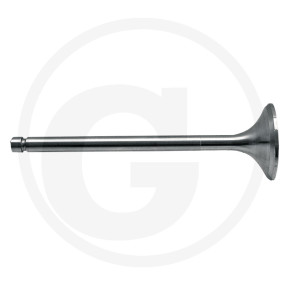 Auslassventil Granit 38021206