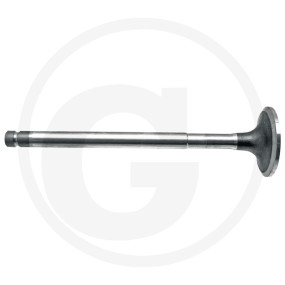 Auslassventil Granit 38022074