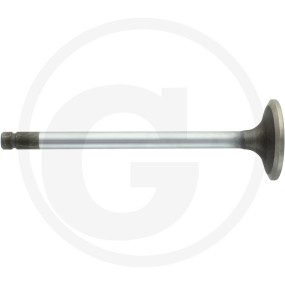 Einlassventil Granit 38022114