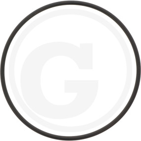 Dichtungsring Granit 38022310