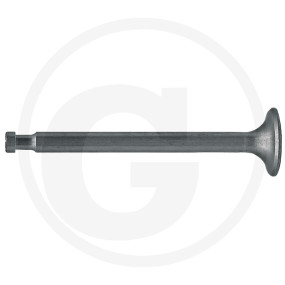 Auslassventil Granit 38023126