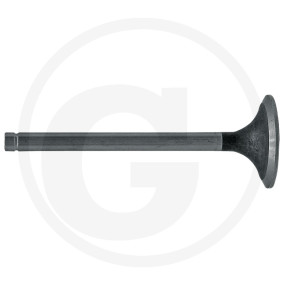 Einlassventil Granit 38023127