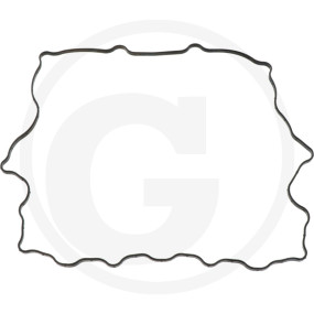 Ventildeckeldichtung Granit 38025007