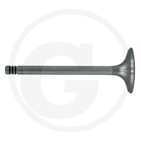 Auslassventilkegel Granit 38060073