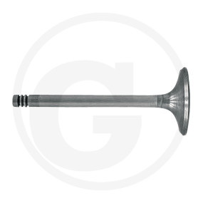 Einlassventilkegel Granit 38060074