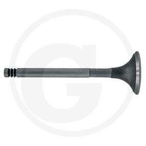 Auslassventil Granit 38060076