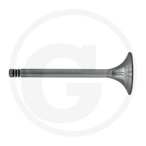 Einlassventil Granit 38060077