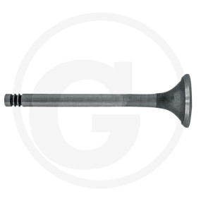 Auslassventil Granit 38060078