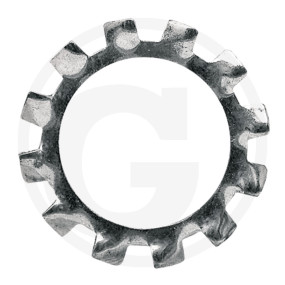 Zahnscheibe Granit 48072528