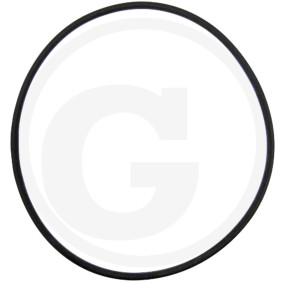 O-Ring Granit 71802028