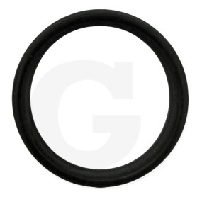 O-Ring Granit 71812341