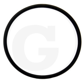O-Ring Granit 71815124