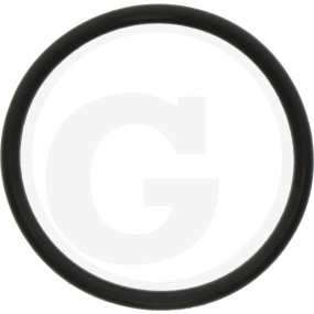 O-Ring Granit