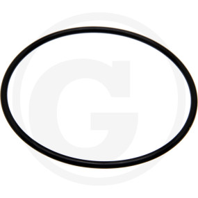 O-Ring ?91,67X3,53Mm Granit