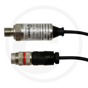 Druck-Sens. 2020 Isds 0-60 Bar Granit