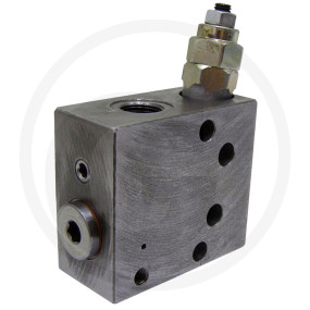 Eingangsplatte Granit