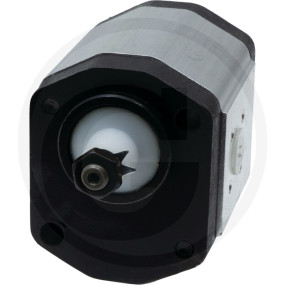 Gr-2 Pumpe 16Cc rechts D=50 1:5 Granit