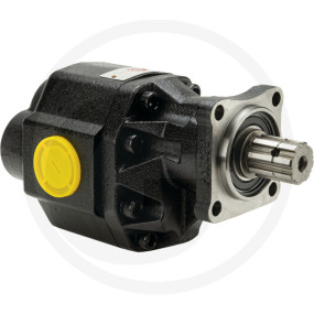 Nfz-Pumpe 100Cc 2-Drehrichtung  Granit