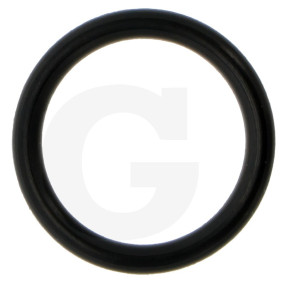 O-Ring Ve:1 Granit