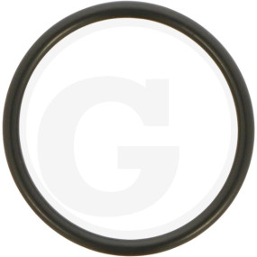 O-Ring Granit